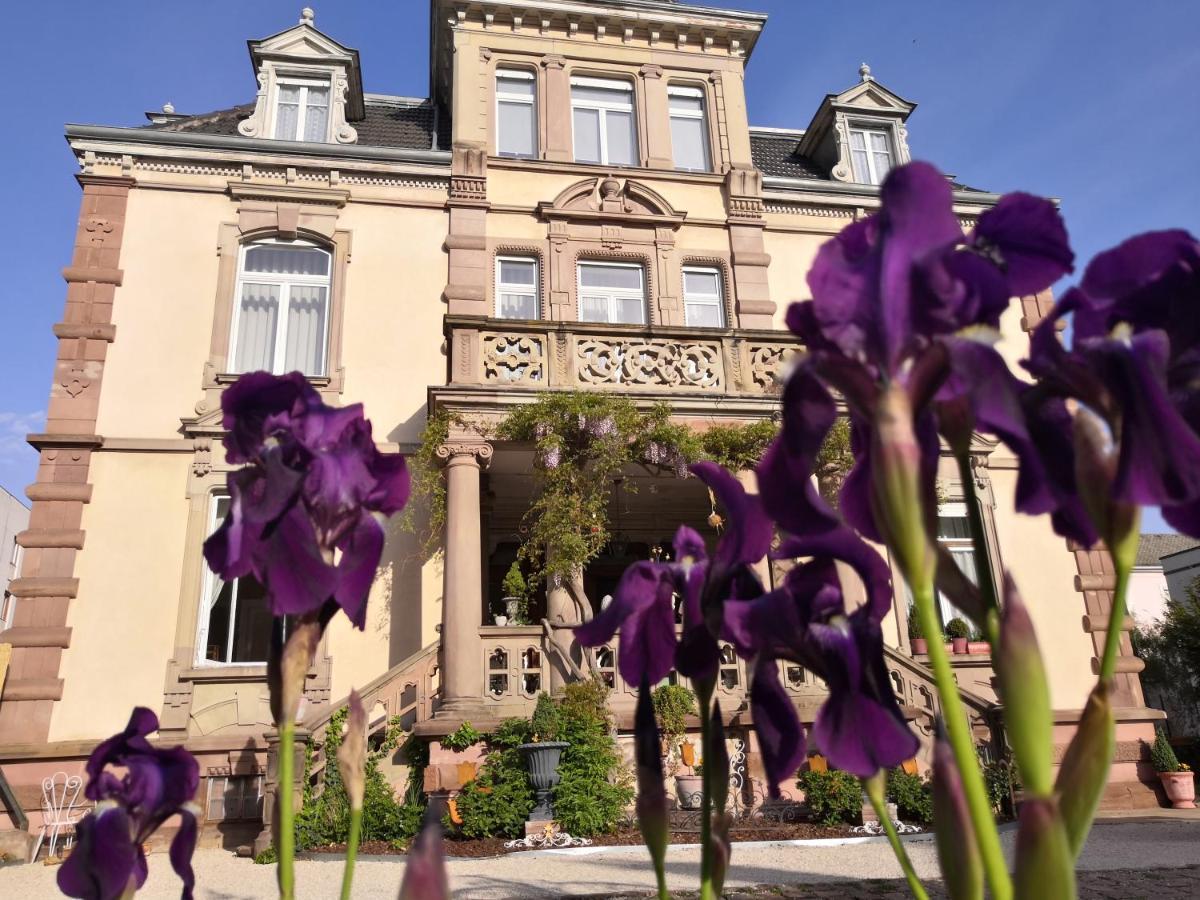 Hotel Castelnau Colmar Zewnętrze zdjęcie