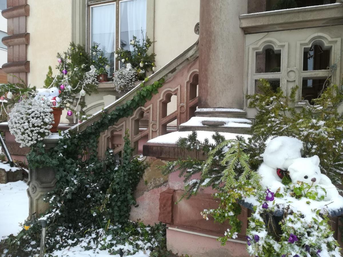 Hotel Castelnau Colmar Zewnętrze zdjęcie