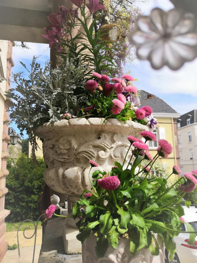 Hotel Castelnau Colmar Zewnętrze zdjęcie
