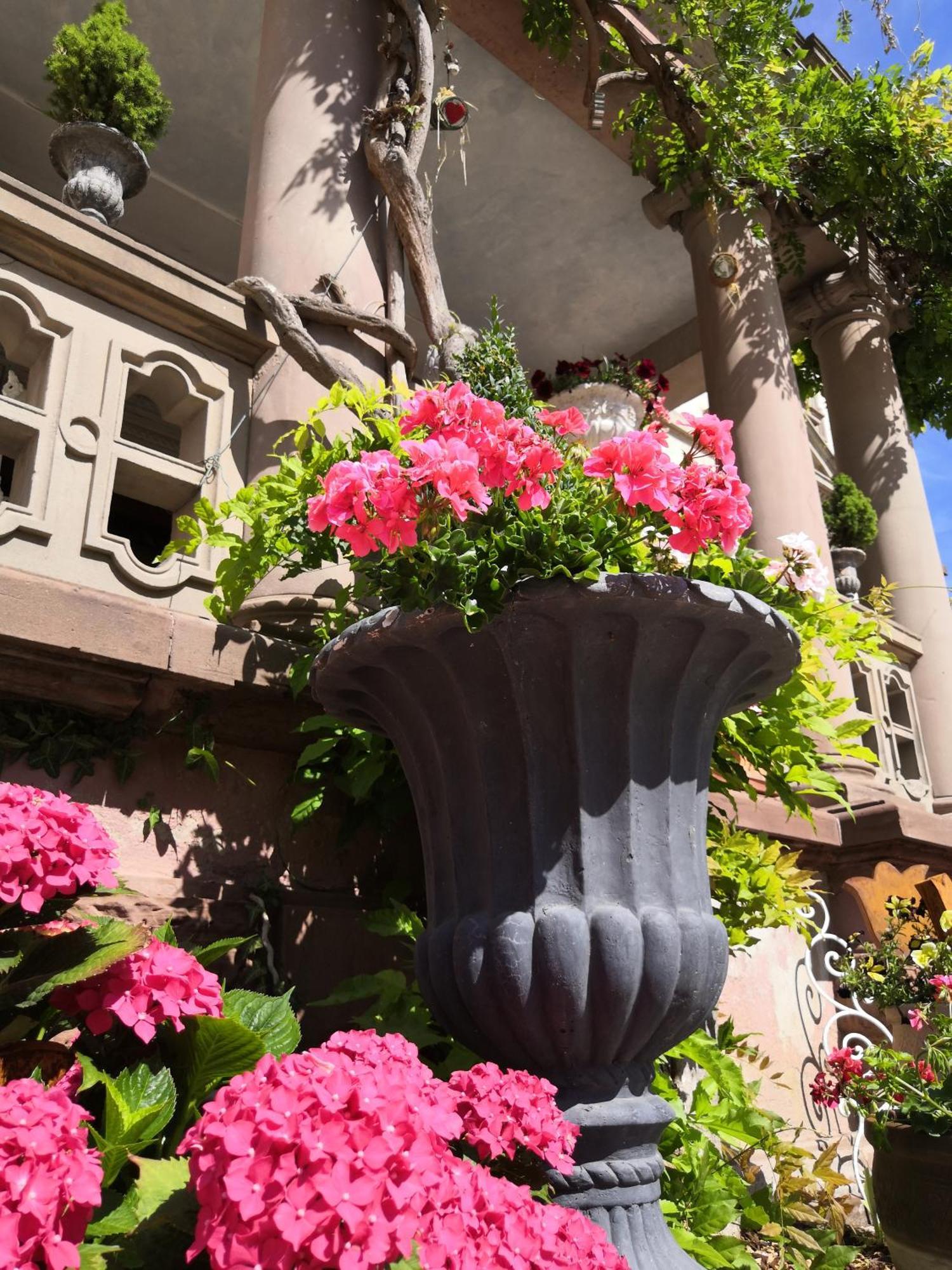 Hotel Castelnau Colmar Pokój zdjęcie