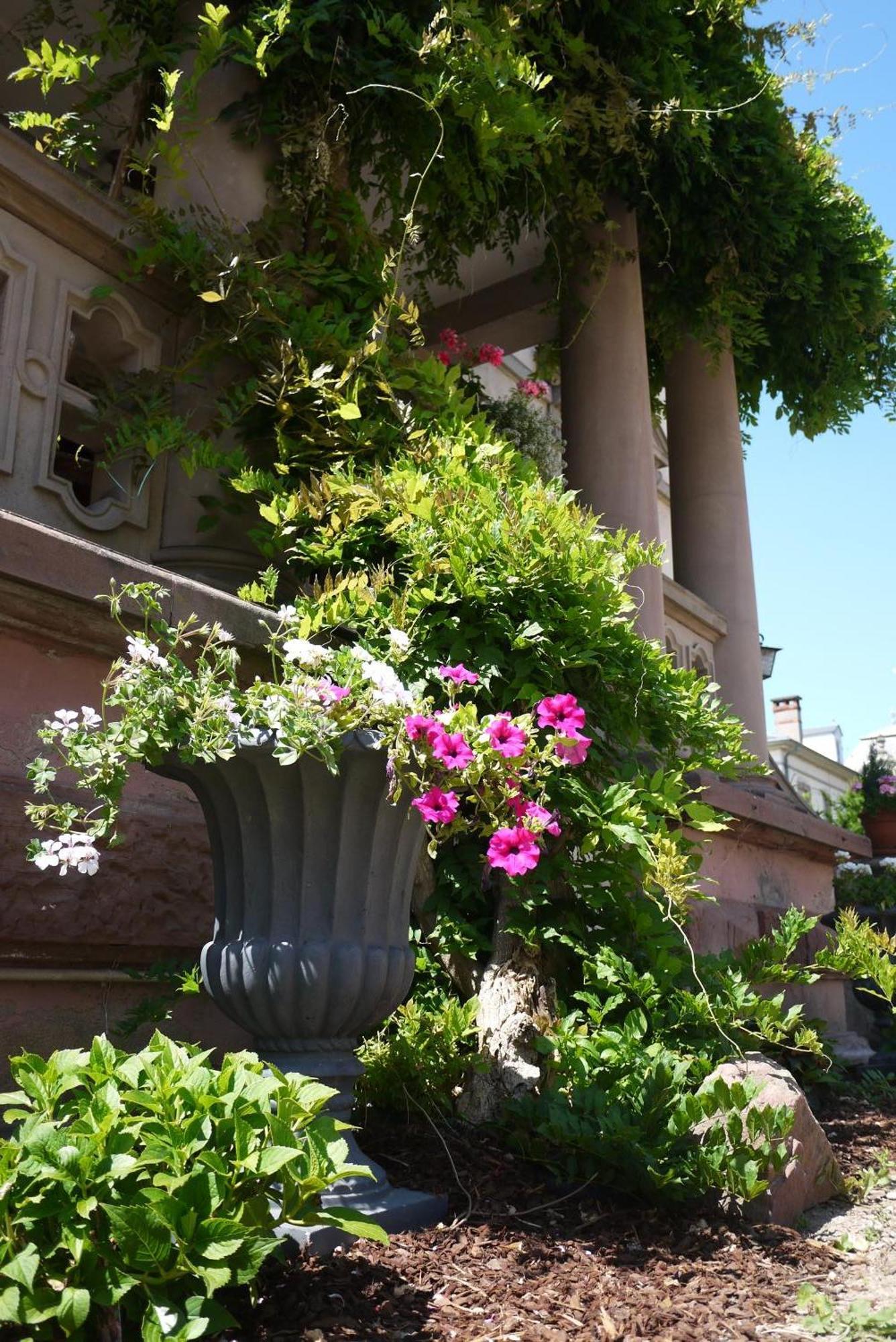 Hotel Castelnau Colmar Zewnętrze zdjęcie